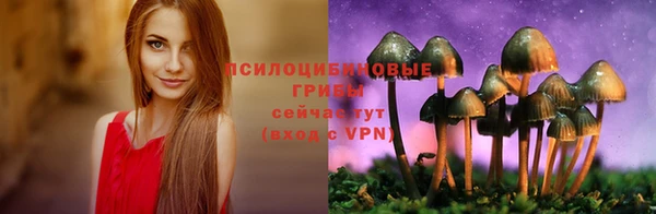 соль курить ск Арсеньев
