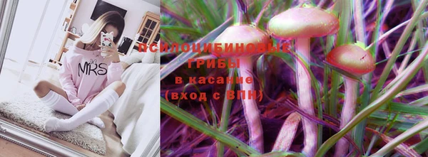гидра Балахна