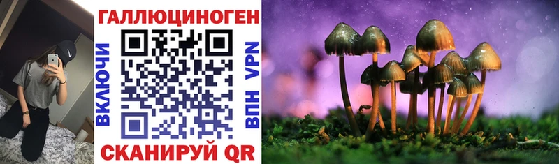 Галлюциногенные грибы Psilocybe  как найти закладки  Качканар 