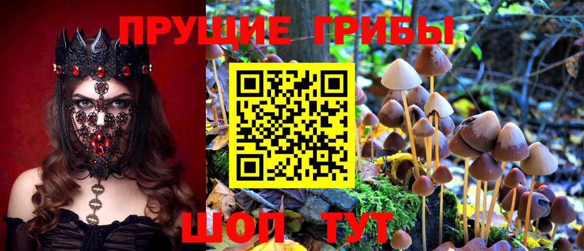 Галлюциногенные грибы GOLDEN TEACHER Качканар