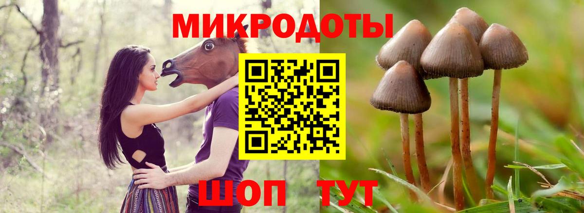 Галлюциногенные грибы GOLDEN TEACHER  Псилоцибиновые грибы мицелий  Вход с VPN  Качканар 